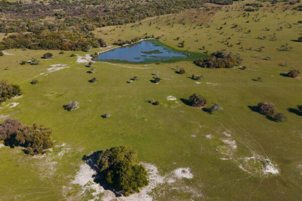 Esteros del Ibera - CAMPO 1