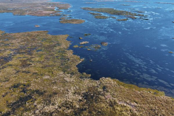 Esteros del Ibera - ISLA 5