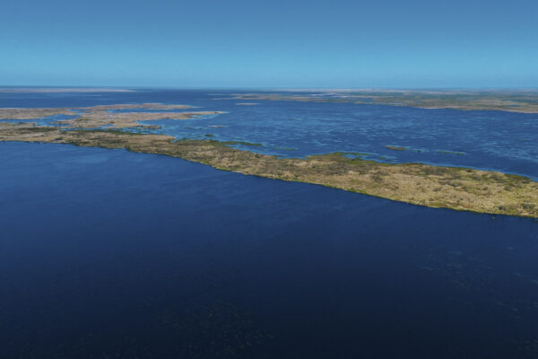 Esteros del Ibera - LAGUNA 2